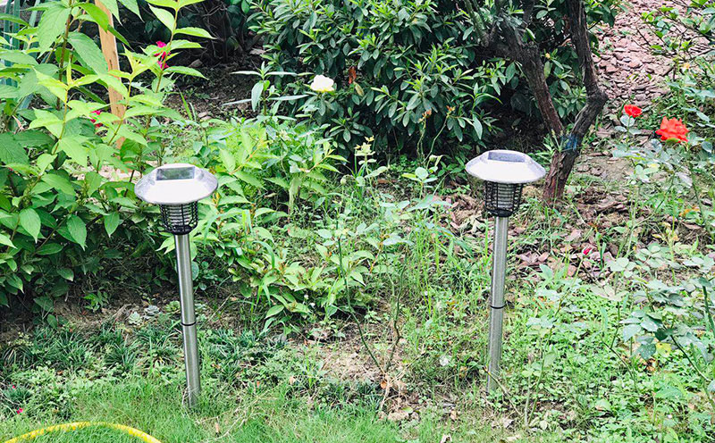 【用户分享】花园里放了两台LED庭院灭蚊灯效果还不错