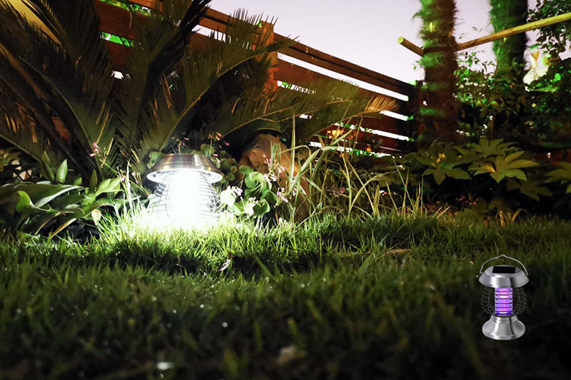 合肥大观园景观公司草坪景观设计太阳能灭蚊灯实拍